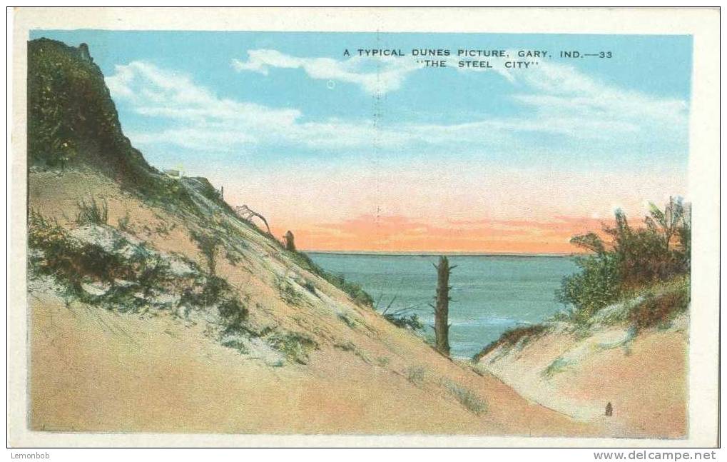 USA – United States – A Typical Dunes Picture, Gary Ind, The Steel City – Early 1900s Unused Postcard [P3137] - Gary