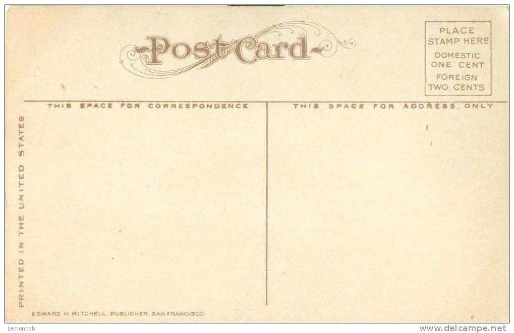 USA – United States – Muir Glacier, Alaska – Early 1900s Unused Postcard [P3153] - Other & Unclassified