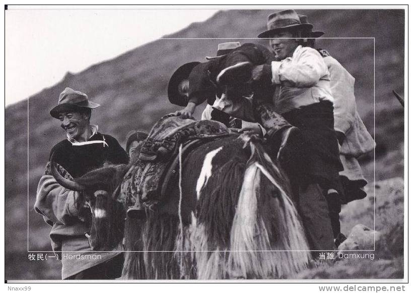 China - Tibetan Herdsmen, Damxung District Of Lhasa City, Tibet - Tíbet