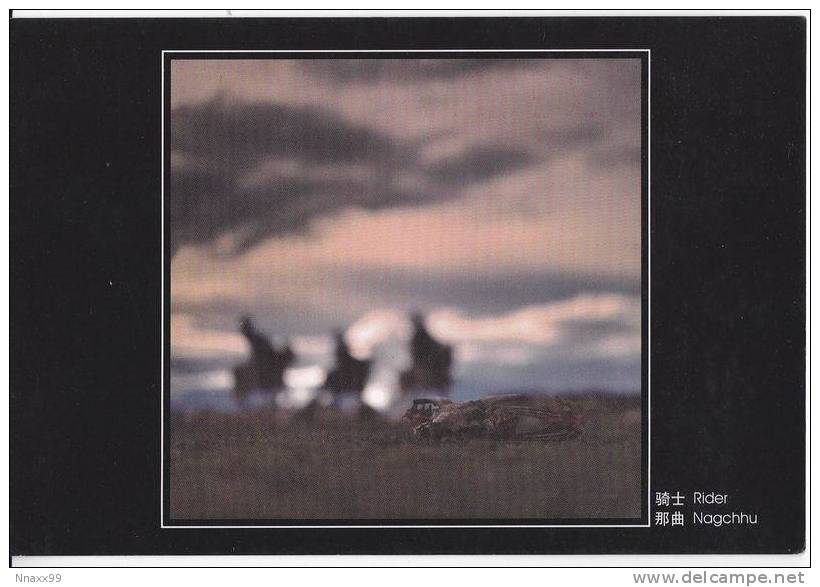 China - Tibetan Riders, Nakqu Prefecture Of Tibet - Tibet