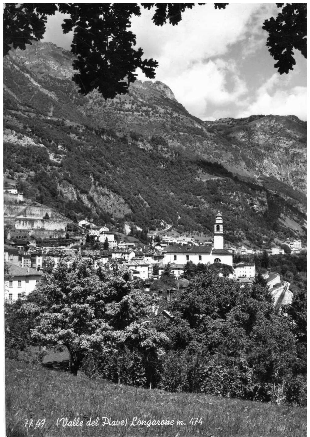 Veneto - Belluno - Longarone - F/g - D17566 - Belluno