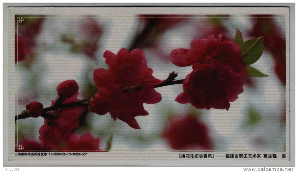 Peach Flower,honeybee & Bee,China 2010 Sanming New Year Greeting Advertising Postal Stationery Card - Abeilles