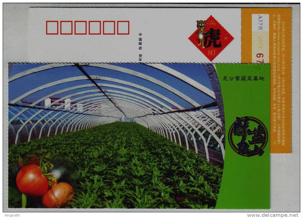 Non-pollution Vegetable Base,plastic Greenhouse,China 2010 Yanshan Industry Advertising Postal Stationery Card - Vegetables