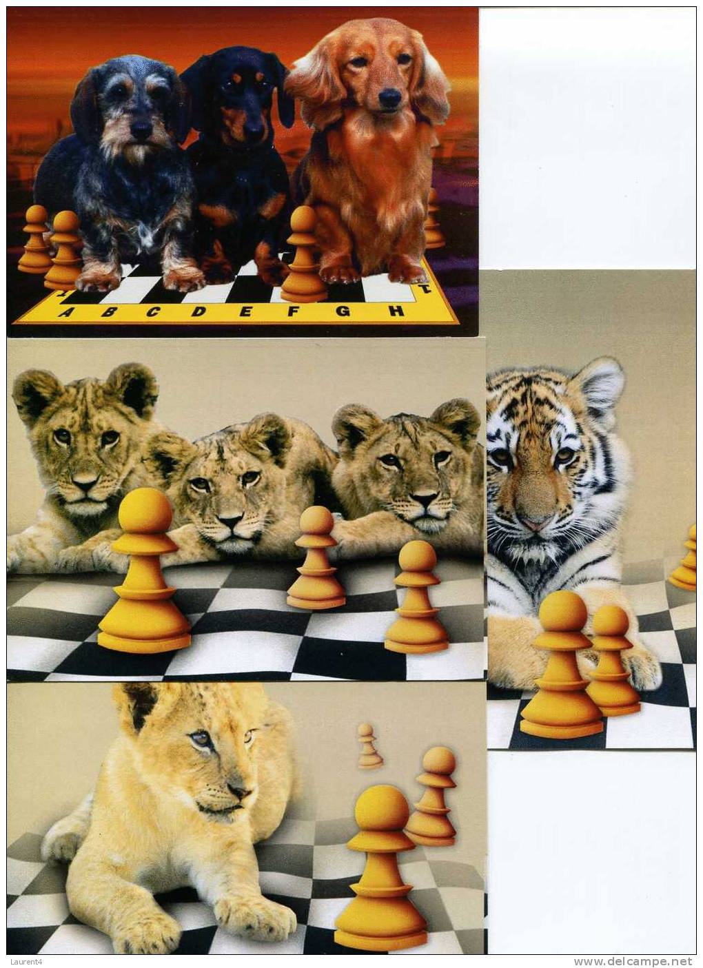 (211) Echec - Chess Boards - Dogs - Lions - Tiger - Chess