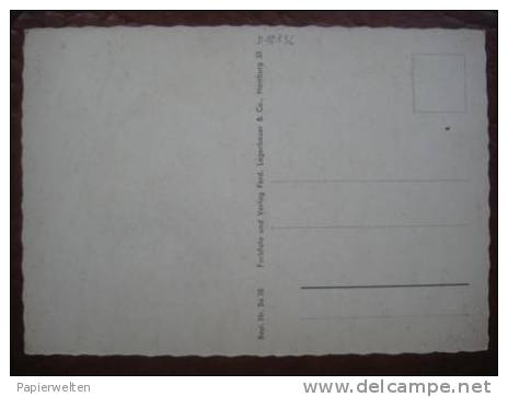 (Friedrichsruh) - Mehrbildkarte "Gruß Aus Dem Sachsenwald" - Friedrichsruh