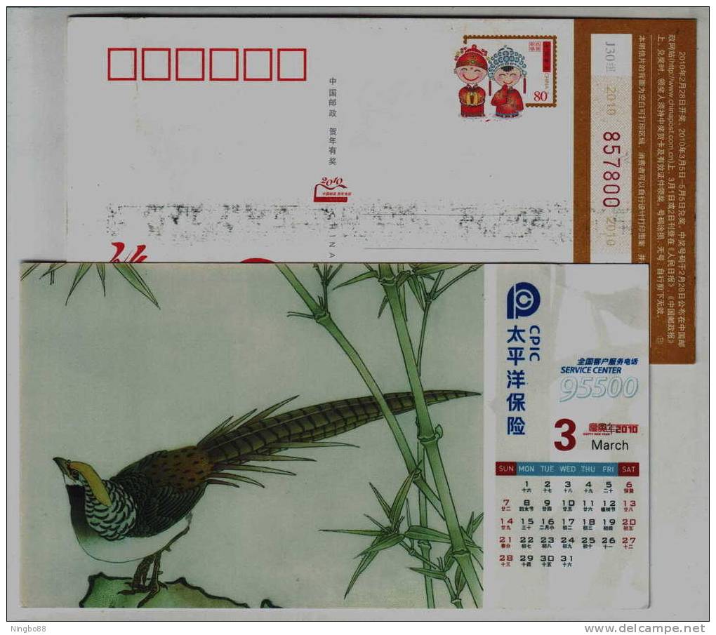 Long-tailed Pheasant Bird Painting,China 2010 PICC Insurance Company Service Advertising Postal Stationery Card - Gallinacées & Faisans