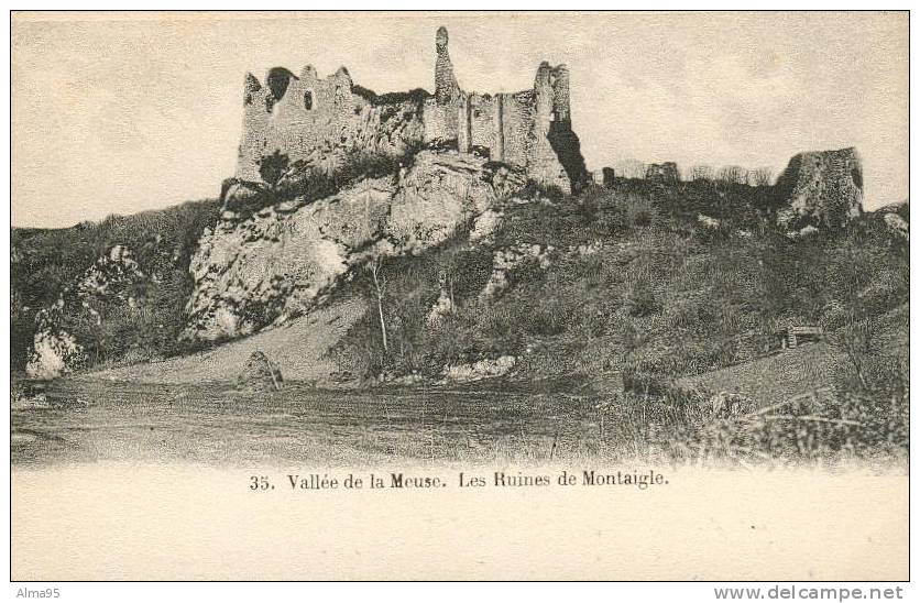 BELGIQUE - ONHAYE - Vallée De La Meuse - Les Ruines De Montaigle - Onhaye