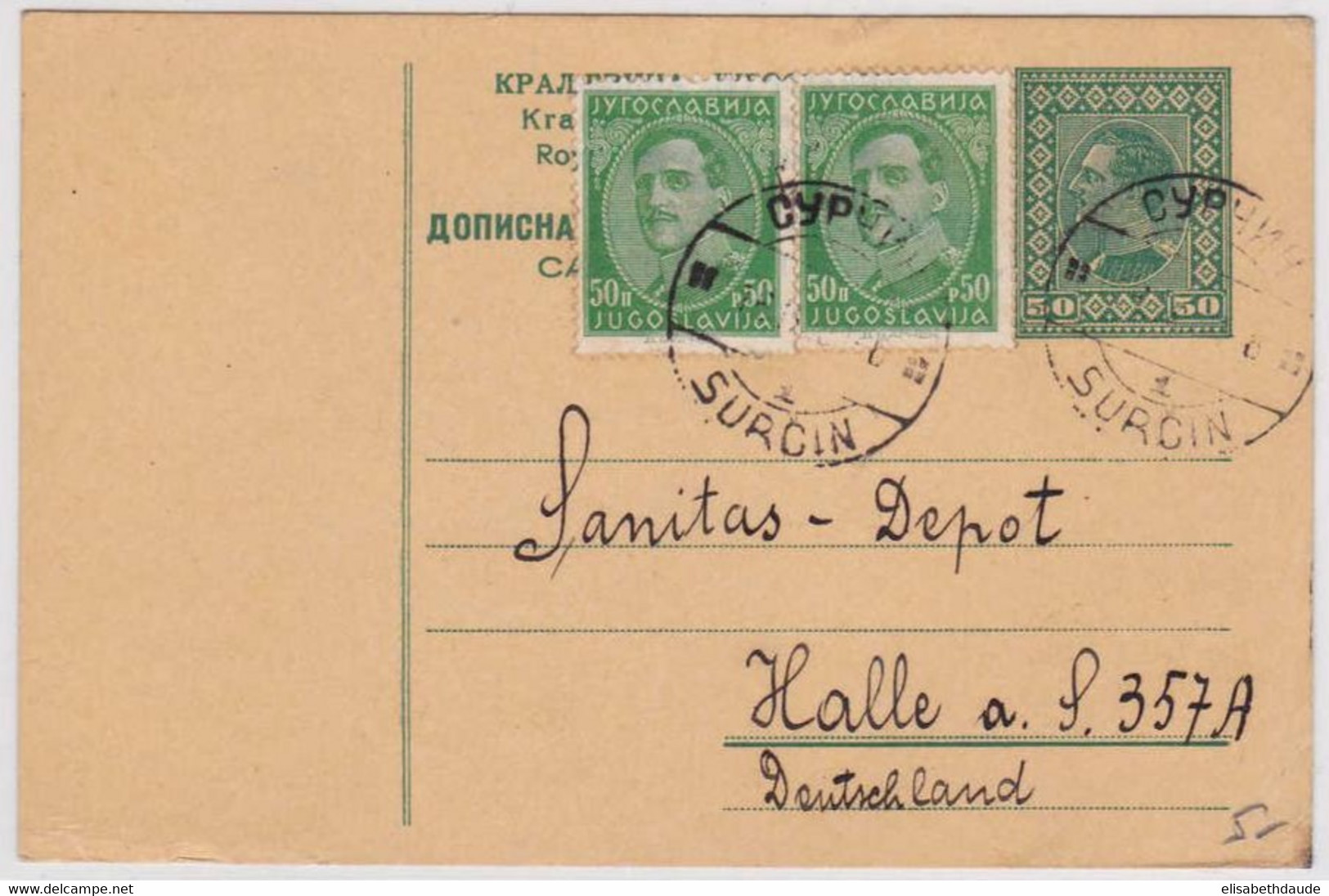 YOUGOSLAVIE - 1931 - CARTE POSTALE ENTIER (GANZSACHEN) De SURCIN Pour HALLE (ALLEMAGNE) - Postal Stationery