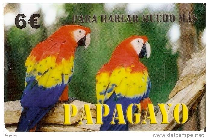 TARJETA DE ESPAÑA DE UNOS PAPAGAYOS LETRAS NEGRAS (LORO-PARROT) - Loros