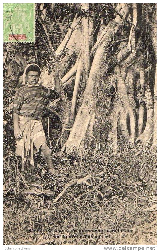 Océanie   Nouvelle Calédonie   :  Banian (Sa Blanc) Producteur De Caoutchouc  (voir Scan) - Nouvelle-Calédonie