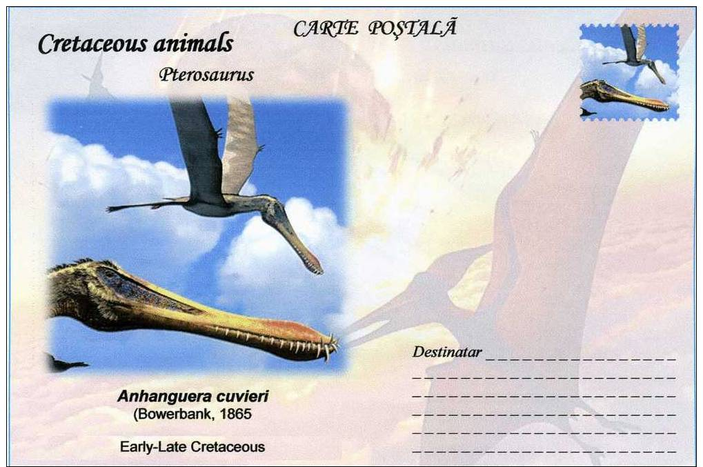 Carte Postale, Romania, 2011, Animaux Prehistoriques, Cretaceous Pterosaurus, Anhanguera - Prehistorisch