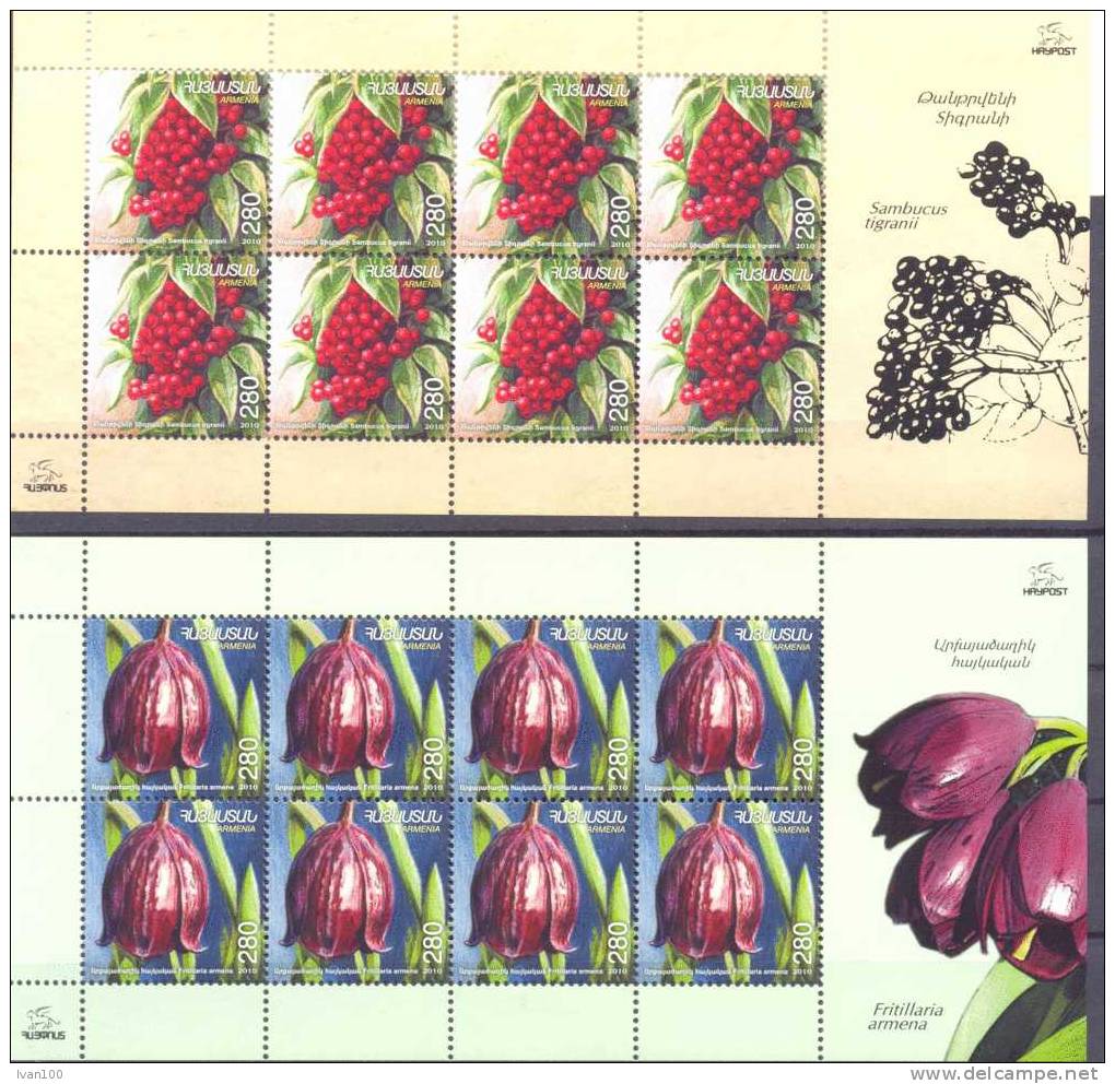 2011. Flora Of Armenia, 2 Sheetlets, Mint/** - Armenien