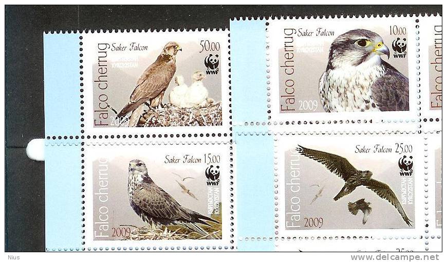 Kyrgyzstan Republic 2009 Fauna Saker Falcon Bird Birds - Kirghizstan