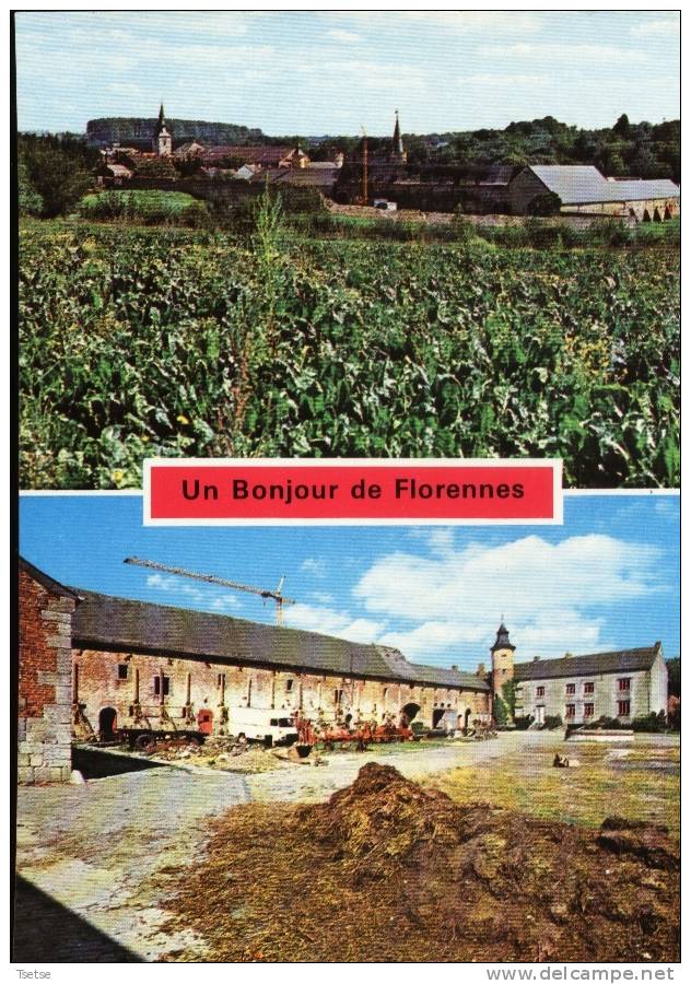 Florennes - 2 Vues - Ferme De L'Abbaye - Florennes