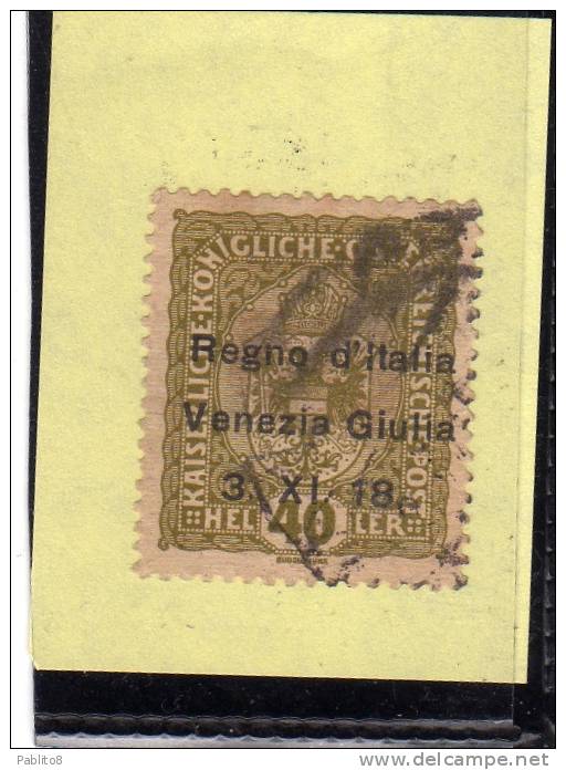 TRENTINO ALTO ADIGE 1918 SOPRASTAMPATO AUSTRIA HELLER  40 H USATO USED OBLITERE' - Trentin