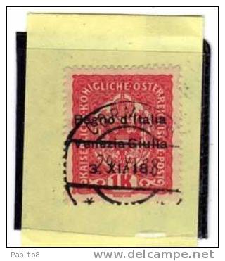 TRENTINO ALTO ADIGE 1918 SOPRASTAMPATO AUSTRIA OVERPRINTED 1 K CORONA USATO USED OBLITERE' - Trentino