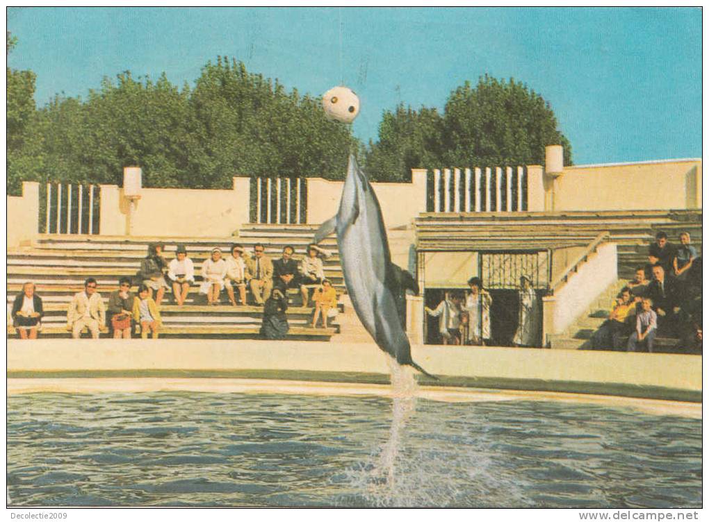 B22434 Dolphins Dauphins Constanta Romania Used Perfect Shape - Dolphins