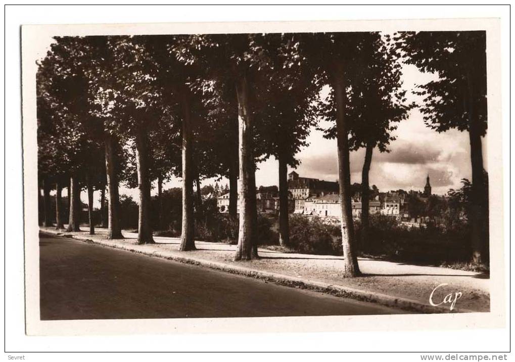 DECIZE. - Avenue Du 14 Juillet.  CPSM 9x14 - Decize