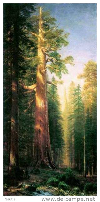 Art Print Reproduction On Original Painting Canvas, New Picture, Bierstadt, Big Trees, Mariposa Grove, California - Prints & Engravings