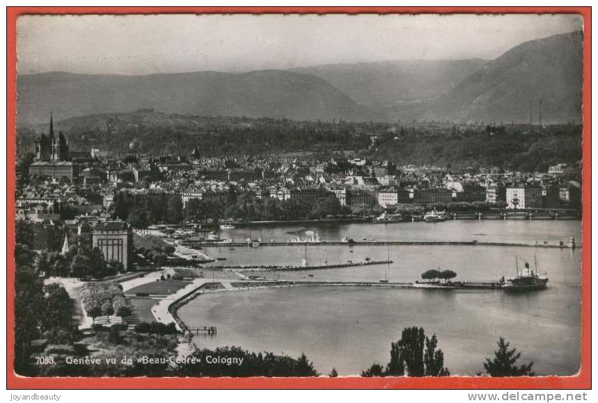 C003, Genève Vu De "Beau Cèdre " , Cologny , 7053 , Circulée  1949 , Timbre Décollé - Cologny