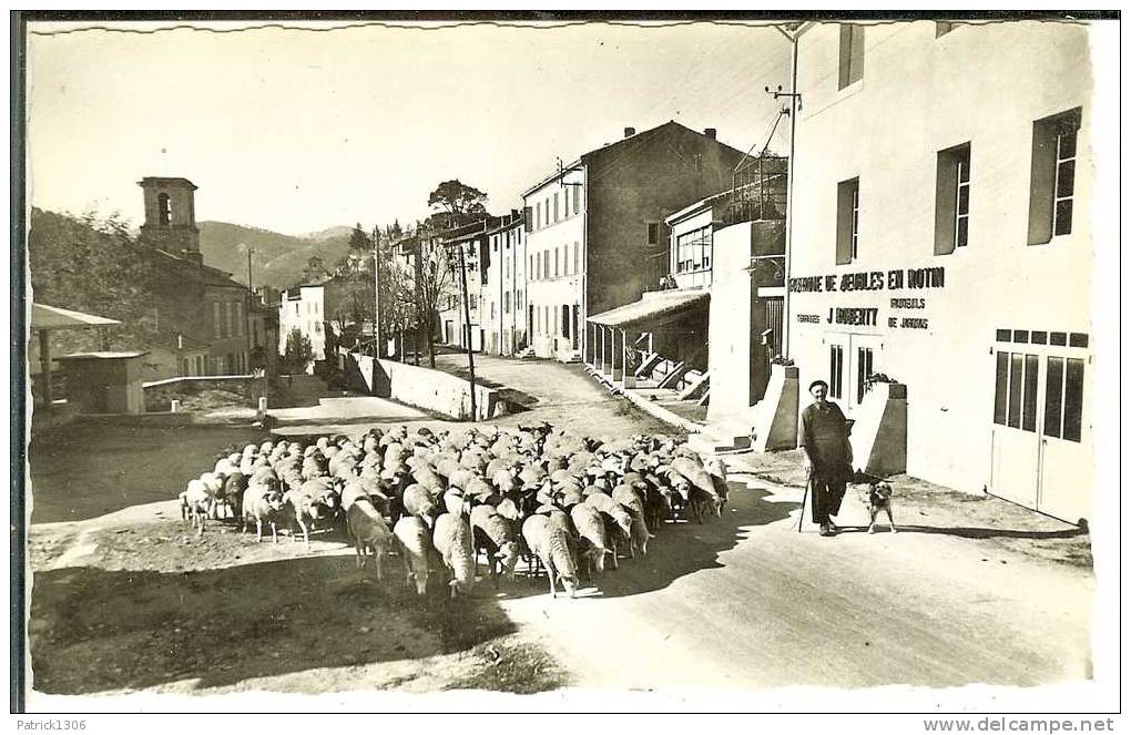 CPSM  AURIOL, Place Charles Adrien, Retour Des Moutons  1172 - Auriol