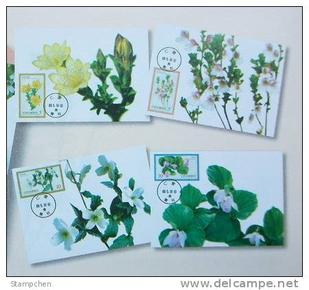 Maxi Cards Taiwan 2011 Alpine Flowers Stamps Flower Flora Plant - Maximumkaarten