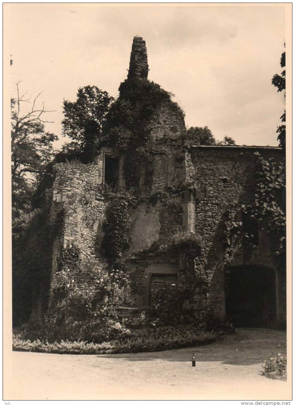 Photographie-PHOTO Amateur Ancienne-année 1951 (Format 18 X13 Cms) BRESSUIRE Ruines De L'ancien  Château  (Deux-Sèvres) - Lieux