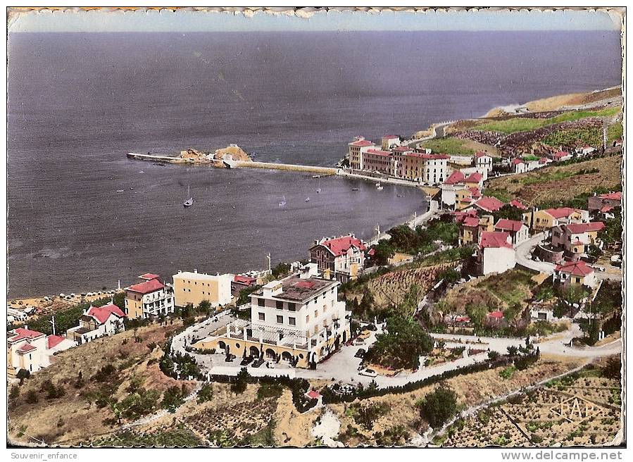 CP Banyuls Sur Mer  La Rade Le Miramar Le Laboratoire Arago 66 Pyrénées Orientales - Banyuls Sur Mer