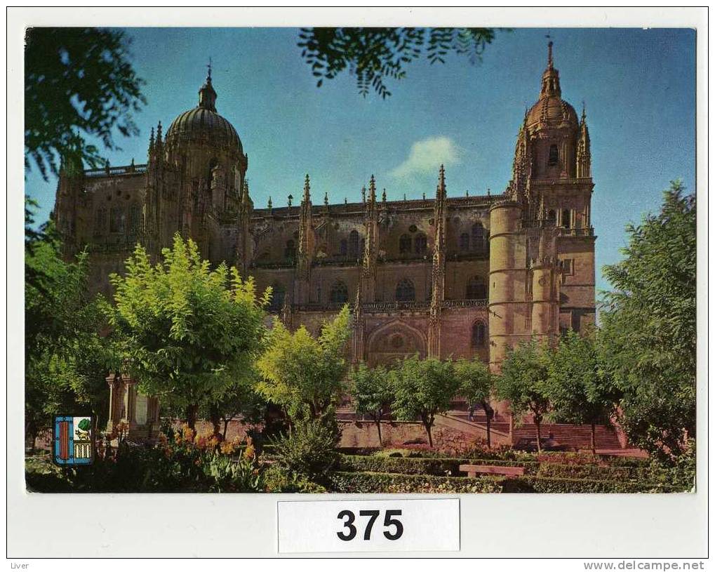 Salamanca La Cathedrale - Salamanca
