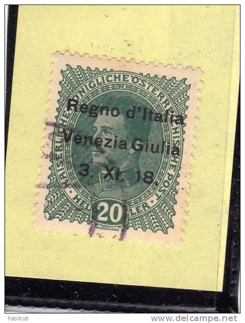 VENEZIA GIULIA 1918 SOPRASTAMPATO AUSTRIA OVERPRINTED HELLER 20 H USATO USED OBLITERE' - Venezia Giuliana