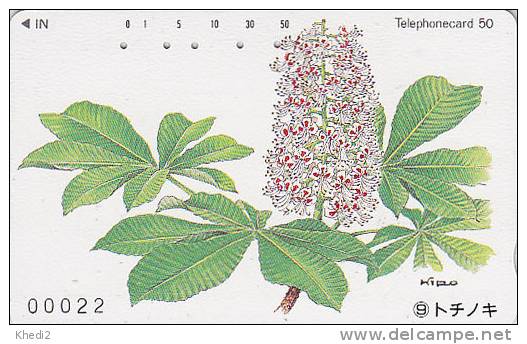 Télécarte Japon / 110-95660 - Série Numérotée Arbre  & Fruit : 9/20 -  Tree Japan Phonecard Series - Baum & Frucht - Flowers