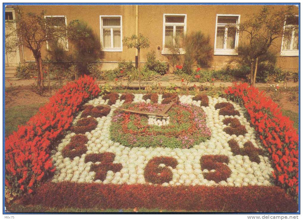 ALLEMAGNE / GERMANY:  GREIZ - Blumenuhr Im Leninpark - Greiz