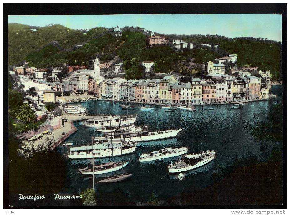 -TROIS CARTES -  Porto Fino - Panorama, (2), Fruttusos Di Camogli (1)  Neuves Excellent état - Autres & Non Classés