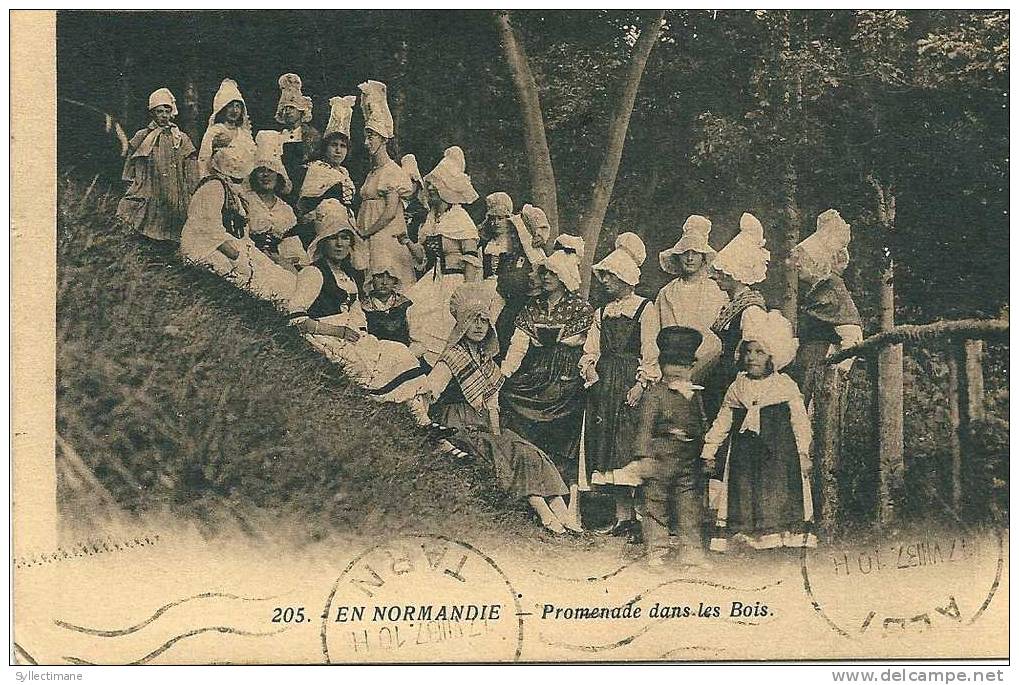 478 : En Normandie Promenade Dans Les Bois - Other & Unclassified
