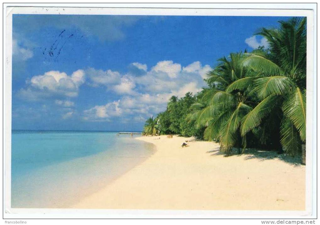 MALDIVES-HEAVEN ON EARTH / THEMATIC STAMP-FISH - Maldives