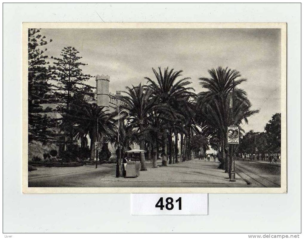 Palma Promenade De Sagrera 1953 - La Palma