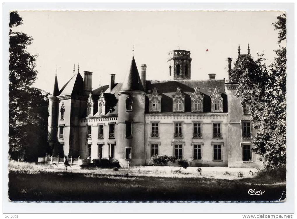 37 - NEUVY LE ROI - Chateau De Fontenaille -bord Dentele - Très Bon état - Neuvy-le-Roi