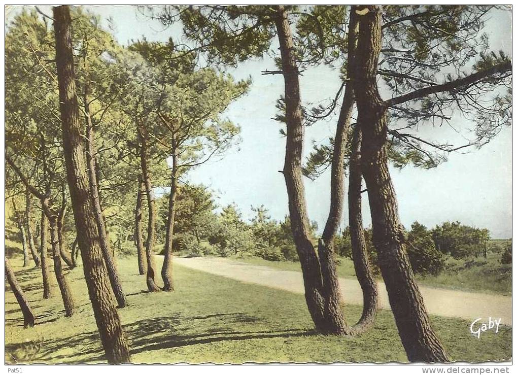 44 - Saint Brévin : Boulevard De La Mer Vers Les Rochelets - Saint-Brevin-les-Pins