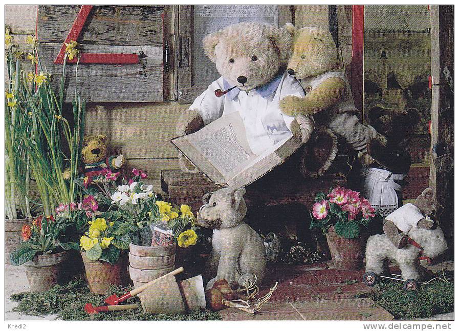 Carte Postale CP Du Japon - Ours En Peluche NOUNOURS - TEDDY BEAR Post Card - BÄRCHEN Bär Postkarte - 04 - Spielzeug & Spiele