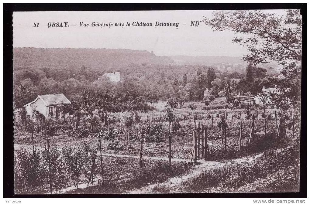 PTS 91-072 - ESSONNE -  ORSAY - Vue Générale Vers Le Chateau Delaunay - Orsay