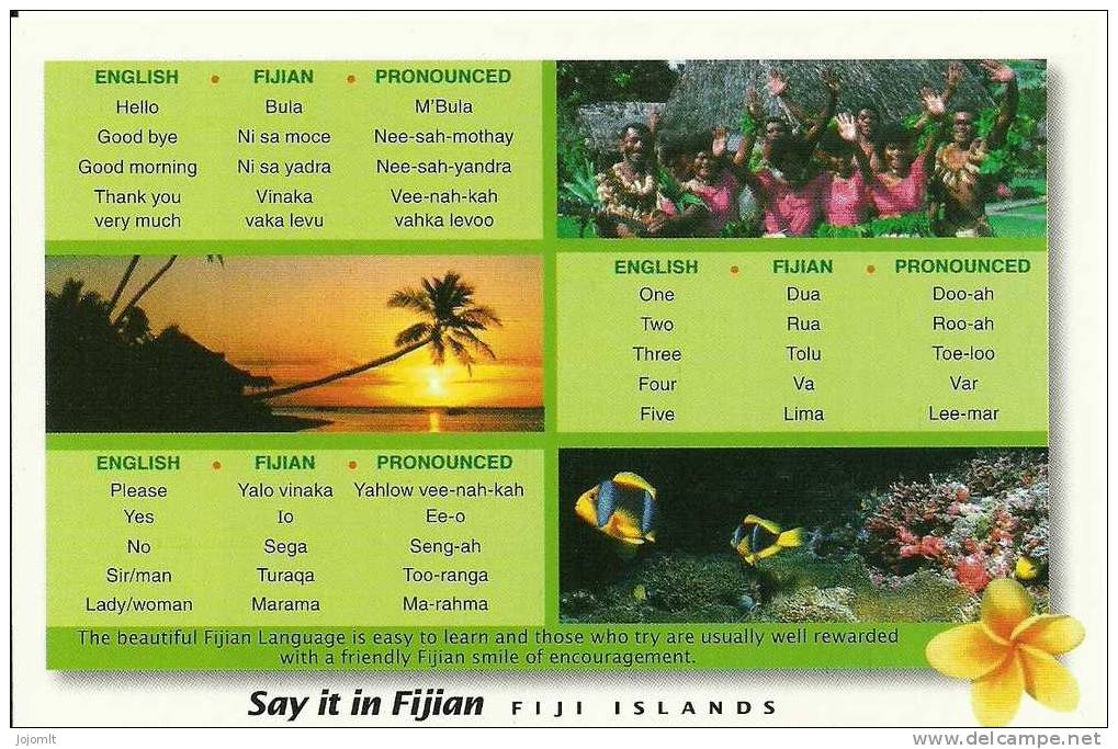 Fidji - Fiji Islands - CPM Neuve ** - Unused Post Card - TTB - Language - Say It In Fijian - N° F1050 - Figi