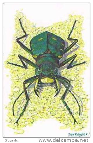 REPUBBLICA CECA (CZECH REPUBLIC) - CESKY TELECOM CHIP - 2000 BEETLE: CICINDELA CAMPESTRIS N.42/09.00- USED- RIF.3215 - Andere & Zonder Classificatie