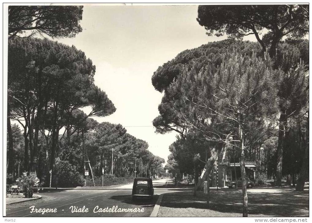 5628-FREGENE-FIUMICINO(ROMA)-VIALE CASTELLAMMARE-1956-FG - Fiumicino