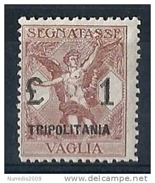 1924 TRIPOLITANIA VAGLIA 1 LIRA MNH ** - RR8497 - Tripolitania