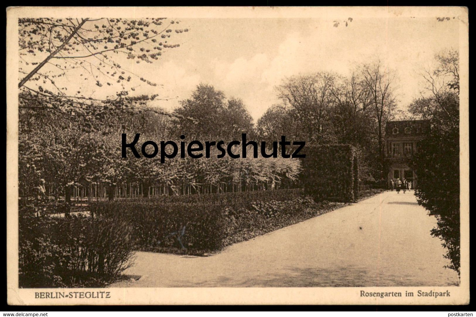 ALTE POSTKARTE BERLIN STEGLITZ ROSENGARTEN IM STADTPARK Rosenbeet Garden Blume Flower Fleur Flowers Rosen Rose Postcard - Steglitz