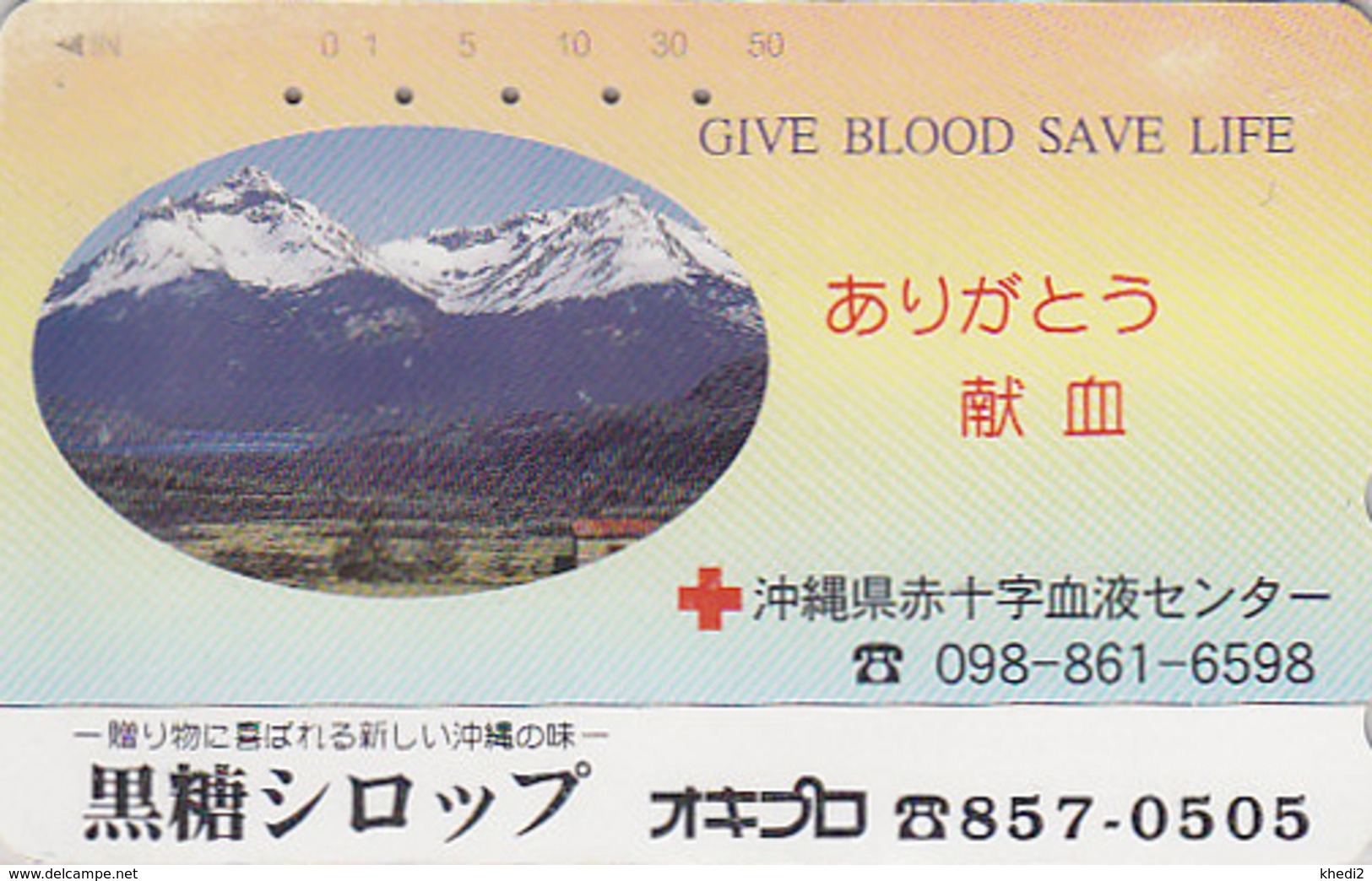 Télécarte Japon / 110-016 - CROIX ROUGE Don Du Sang - Santé Médecine Montagne Mountiain - RED CROSS Japan Phonecard - 75 - Montagnes