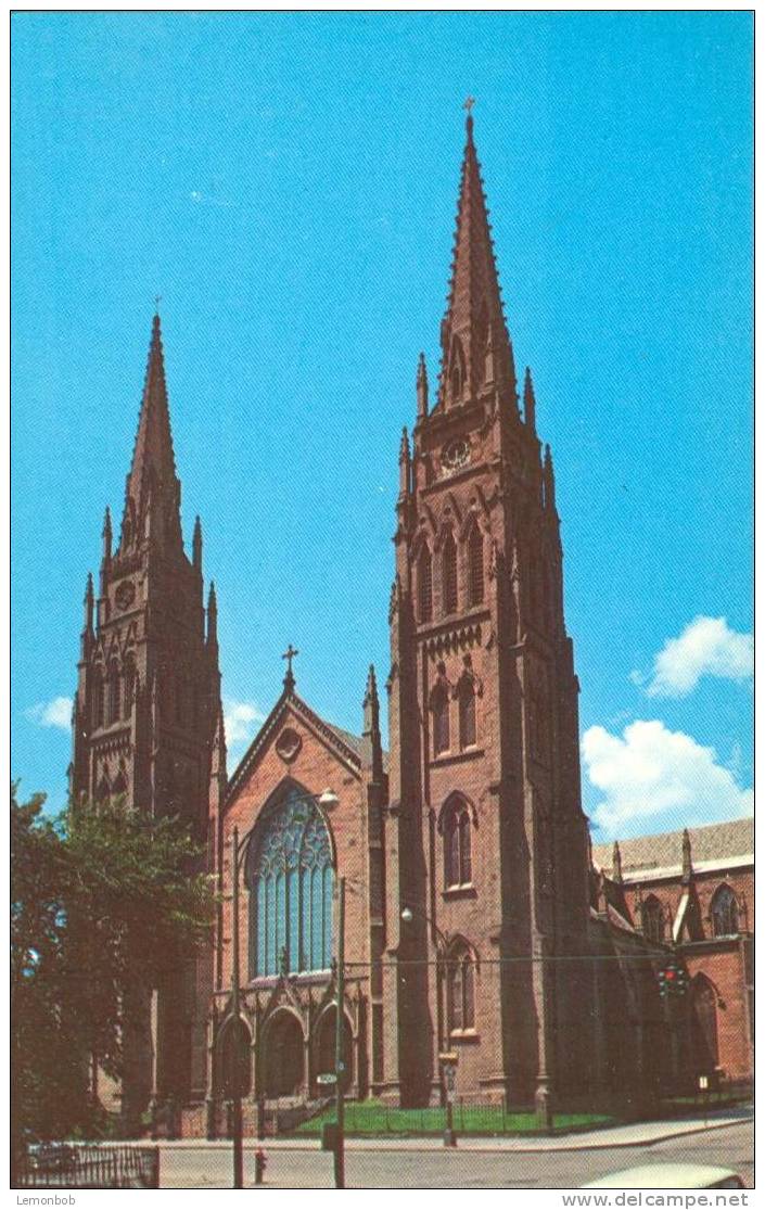 USA – United States –  Albany, New-York – Cathedral Of Immaculate Conception – 1970s Unused Postcard [P3201] - Albany