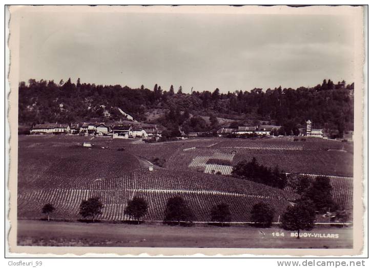 Bougy-Villars Vers Les Années 1930-1940 / Un Si Joli Petit Village Dans Les Vignes D´alors ! - Bougy-Villars