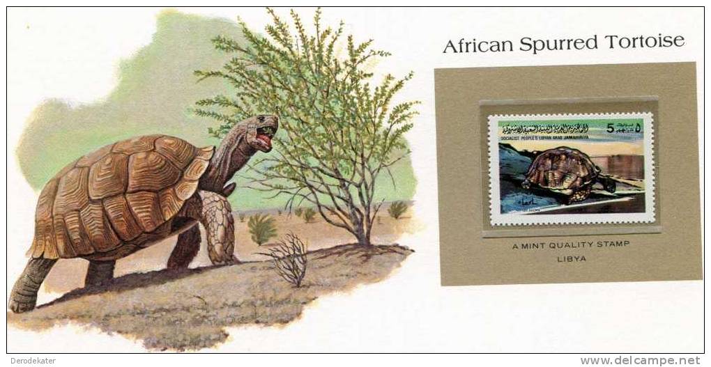 Libya 1979.Testudo Sulcata. African Spurred Tortoise. Tortue. Schildpad. WWF Presentation Card. MNH**. New! - Turtles