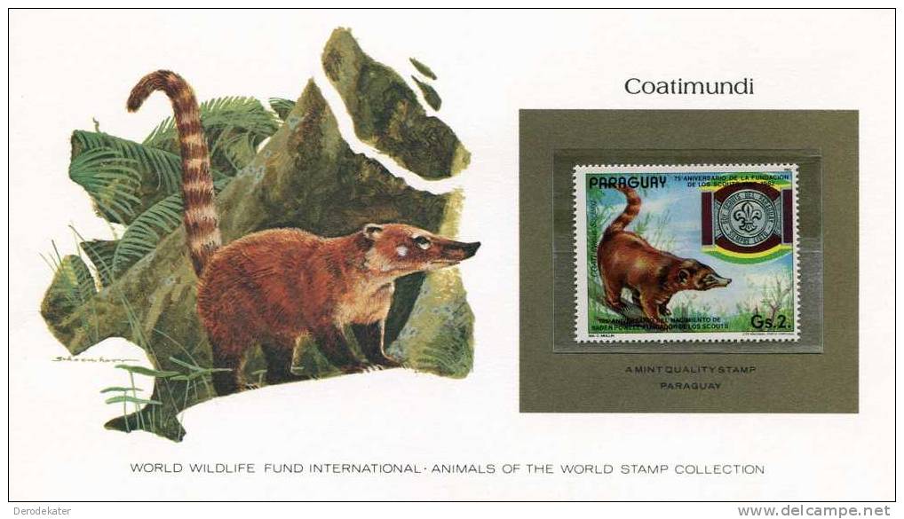 Paraguay 1982. Scouting. Coati [Nasua Socialis].Coatimundi. Neusbeer. 75 Baden Powell.WWF Presentation Card. MNH**. New! - Ours